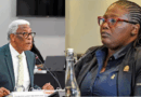 Sisaguqile isigcawu esishushisa uMbenenge ngezinsolo ‘zokuhanqazela’ ucansi kuMengo