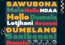 Abaholi abaqhakambise ukukhulunywa kwezilimi zebele