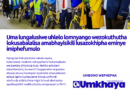 Uma lungalusiwe uhlelo lomnyango wezokuthutha lokusabalalisa amabhayisikili lusazokhipha eminye imiphefumulo